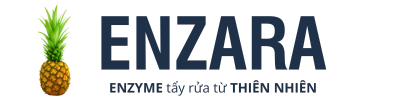 ENZARA