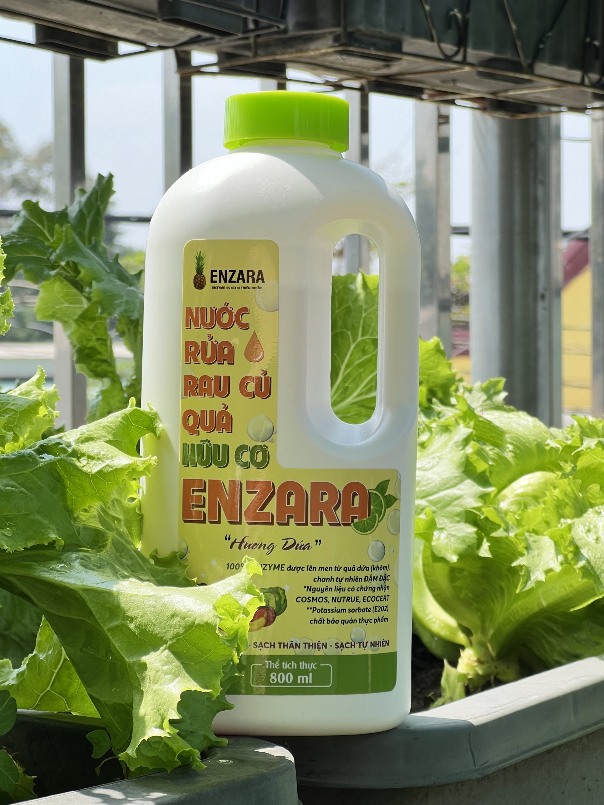 Nước Rửa Rau Củ ENZARA
